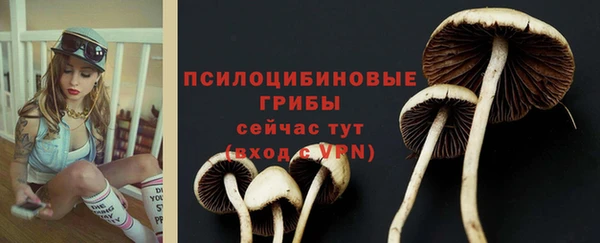 2c-b Алзамай