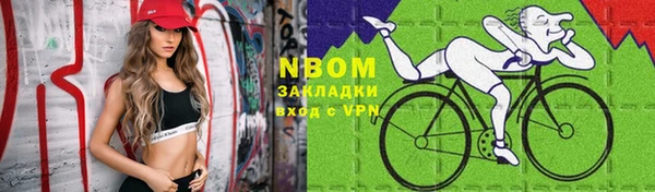 прущие грибы Сатка