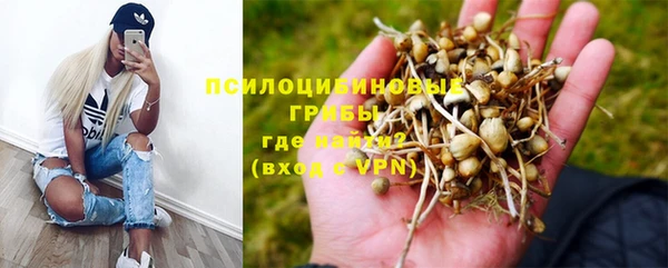 мяу мяу мука Армянск